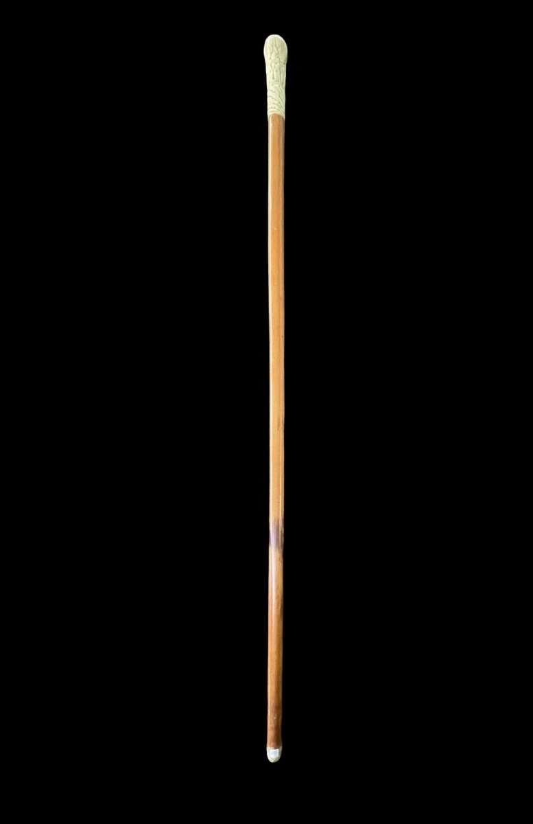 Walking Stick With Globular Ivory Knob Engraved With Stylised Plant Motifs. -photo-3