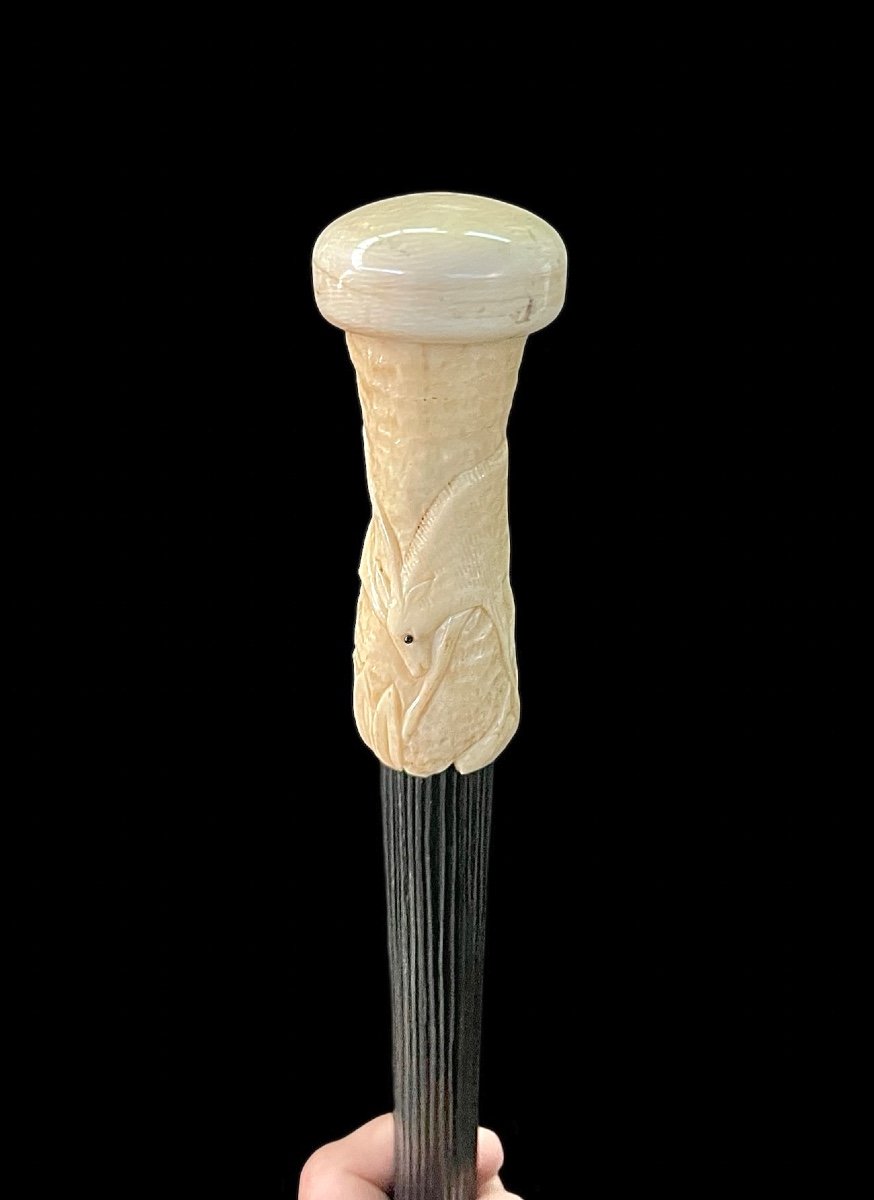 Walking Stick With Globular Ivory Knob With A Deer Figure Engraved In Low Relief. 