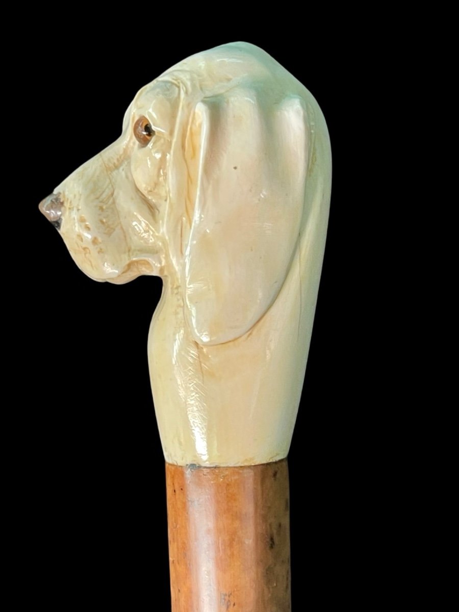 Walking Stick With Knob Depicting Dog's Head. -photo-3