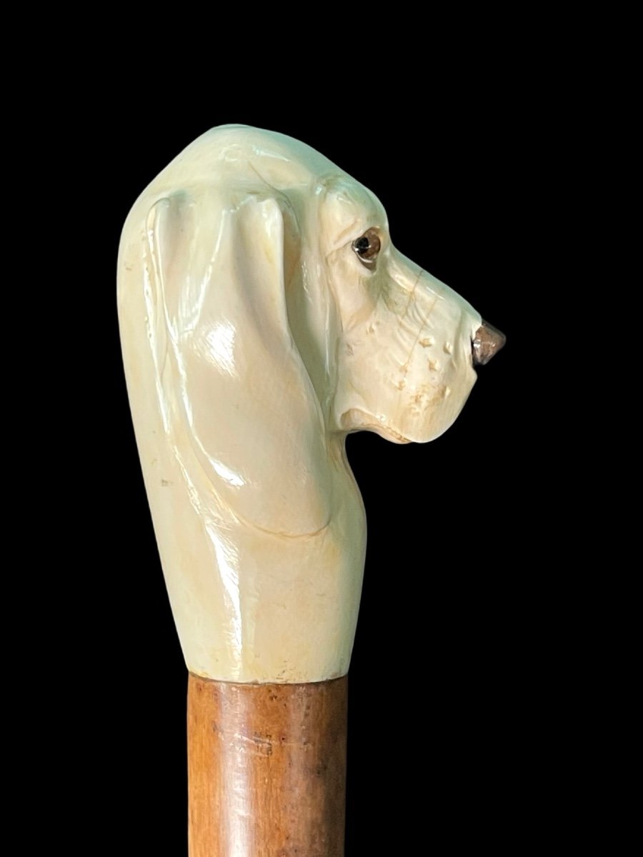 Walking Stick With Knob Depicting Dog's Head. -photo-4