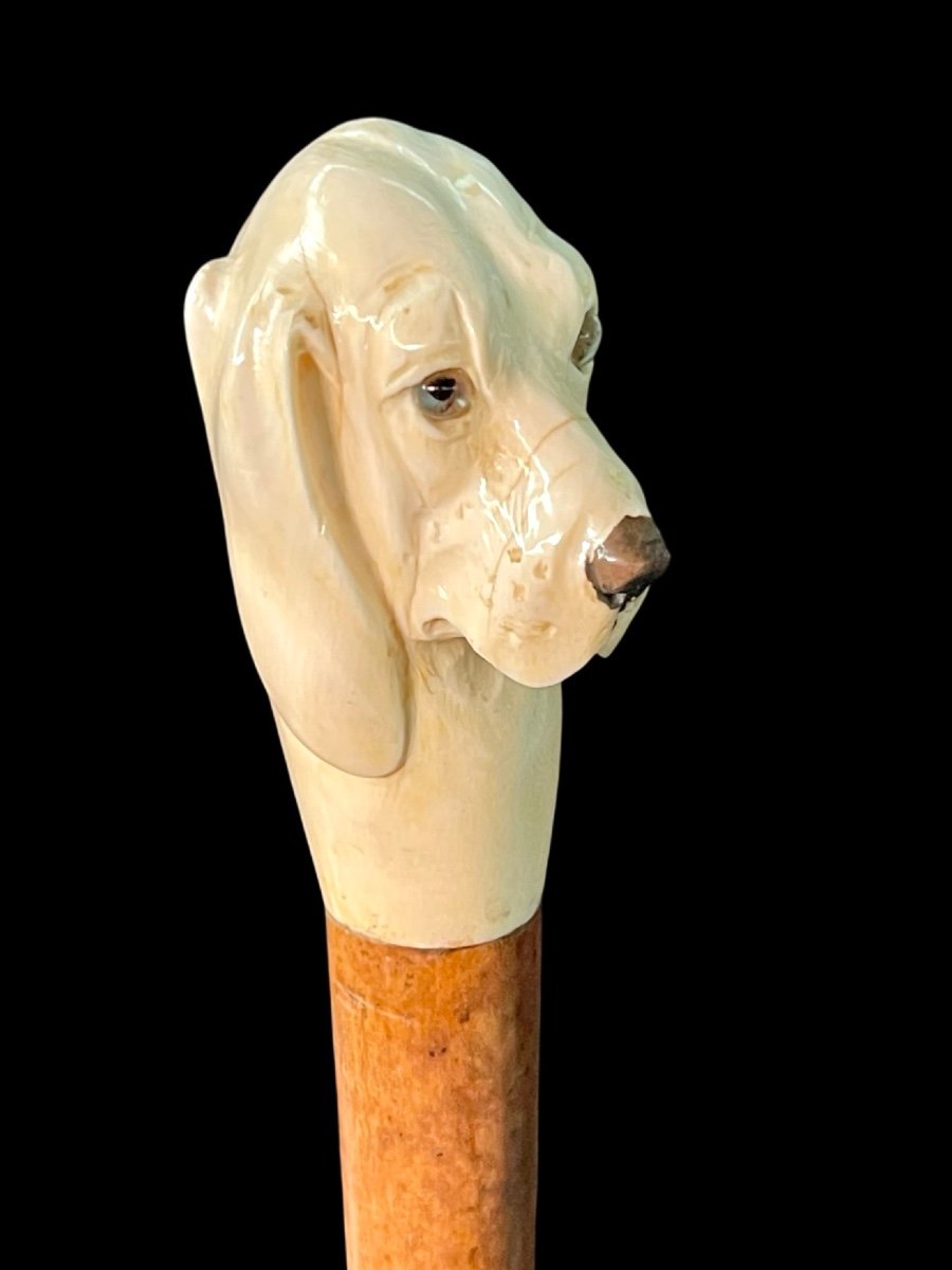 Walking Stick With Knob Depicting Dog's Head. 