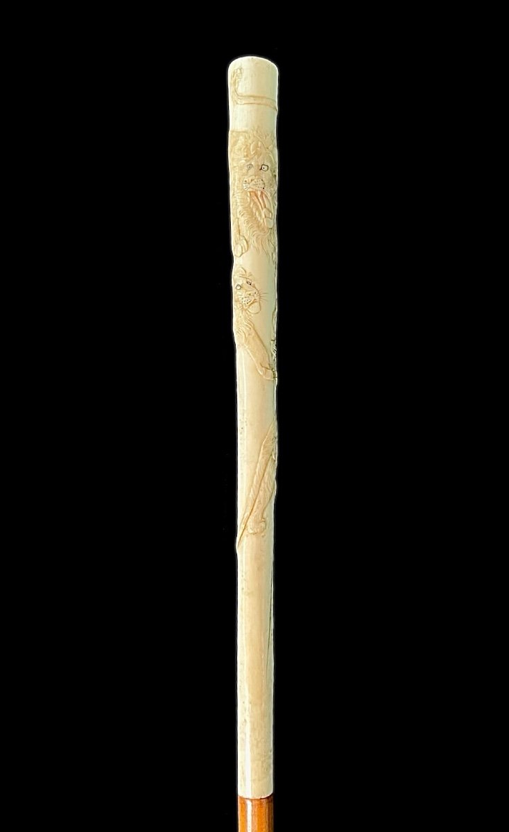 Evening Stick With Ivory Plume Knob Engraved With Lion Figures In Bas-relief. -photo-2