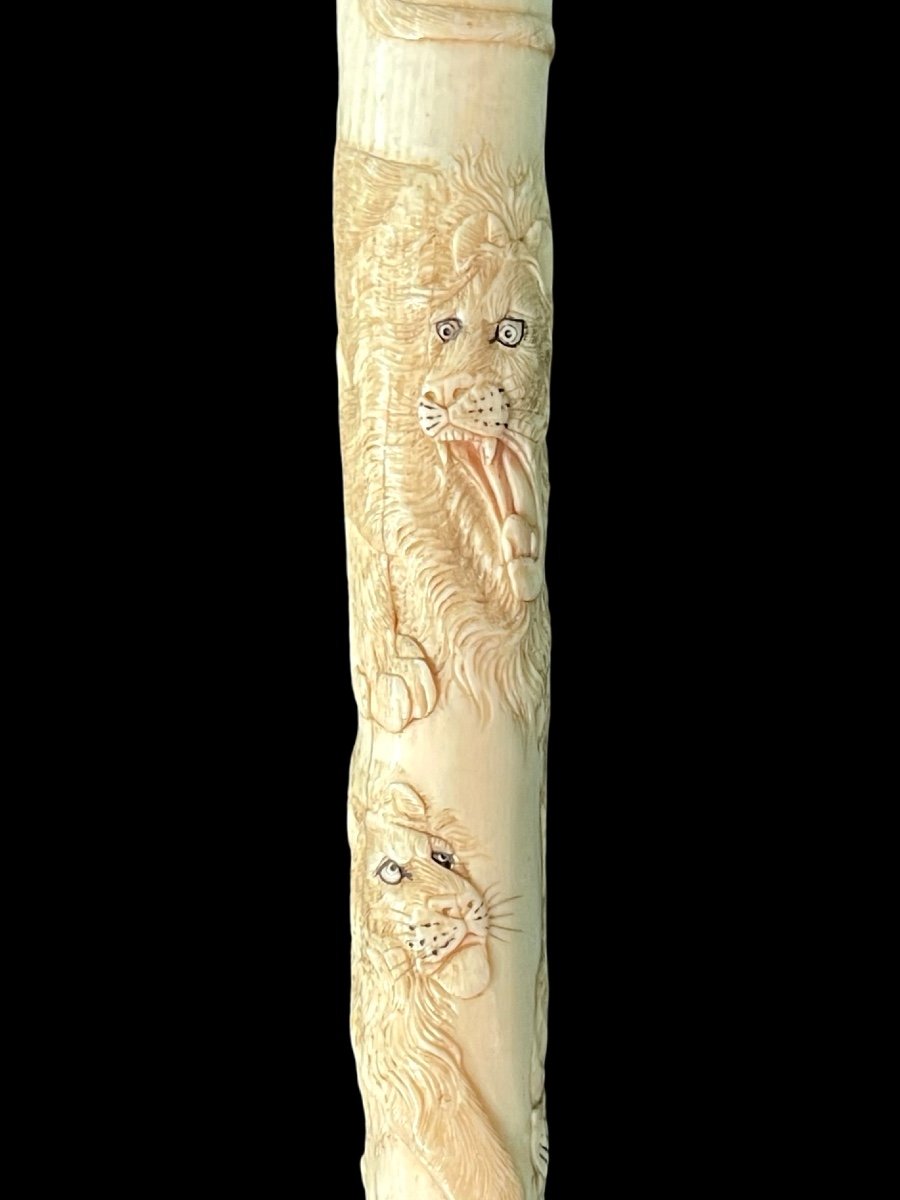 Evening Stick With Ivory Plume Knob Engraved With Lion Figures In Bas-relief. -photo-3