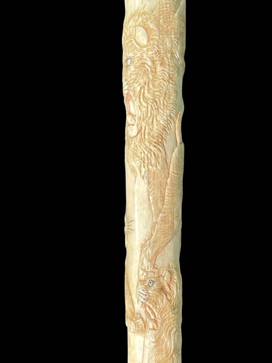 Evening Stick With Ivory Plume Knob Engraved With Lion Figures In Bas-relief. -photo-4