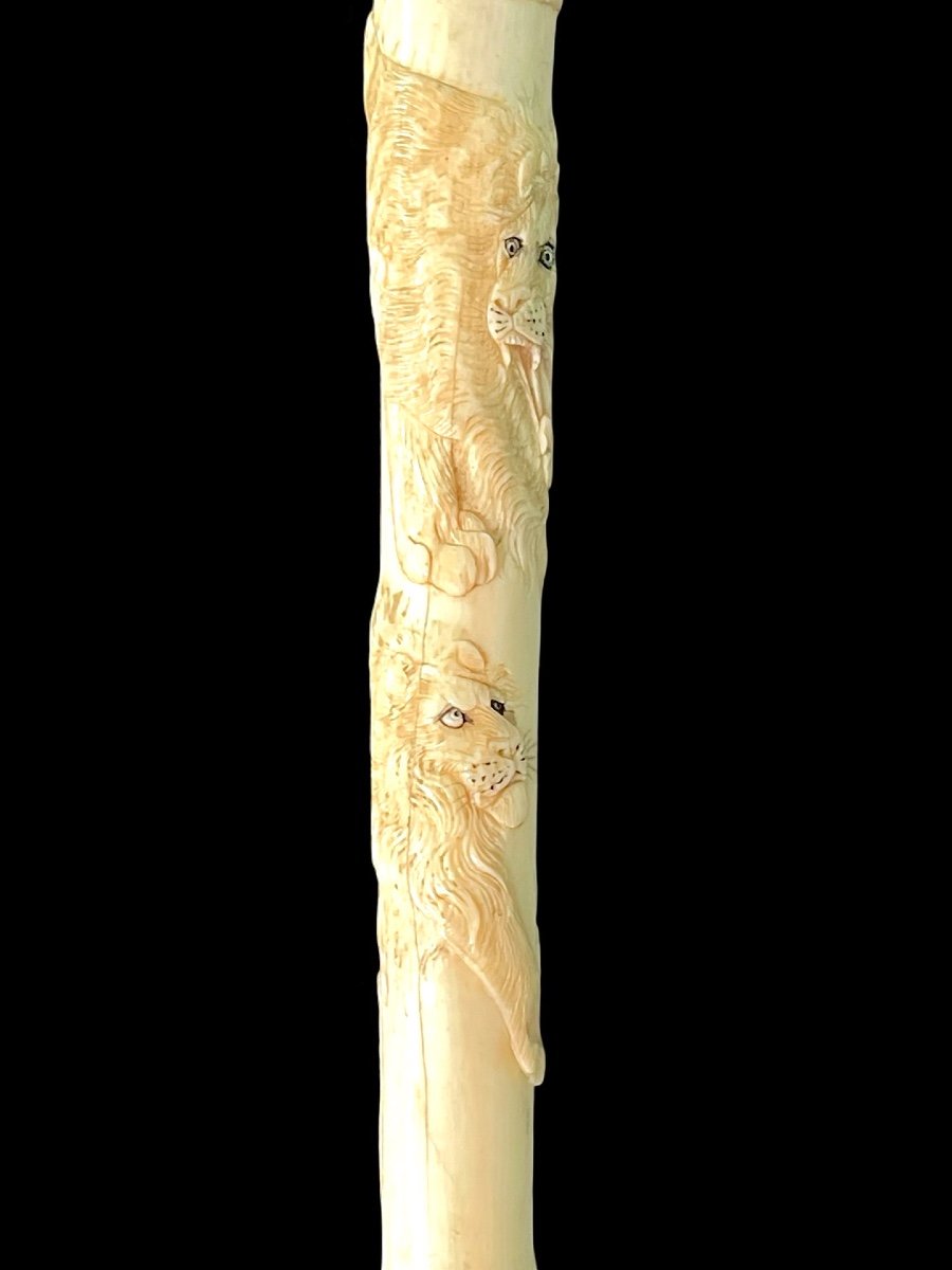 Evening Stick With Ivory Plume Knob Engraved With Lion Figures In Bas-relief. -photo-1