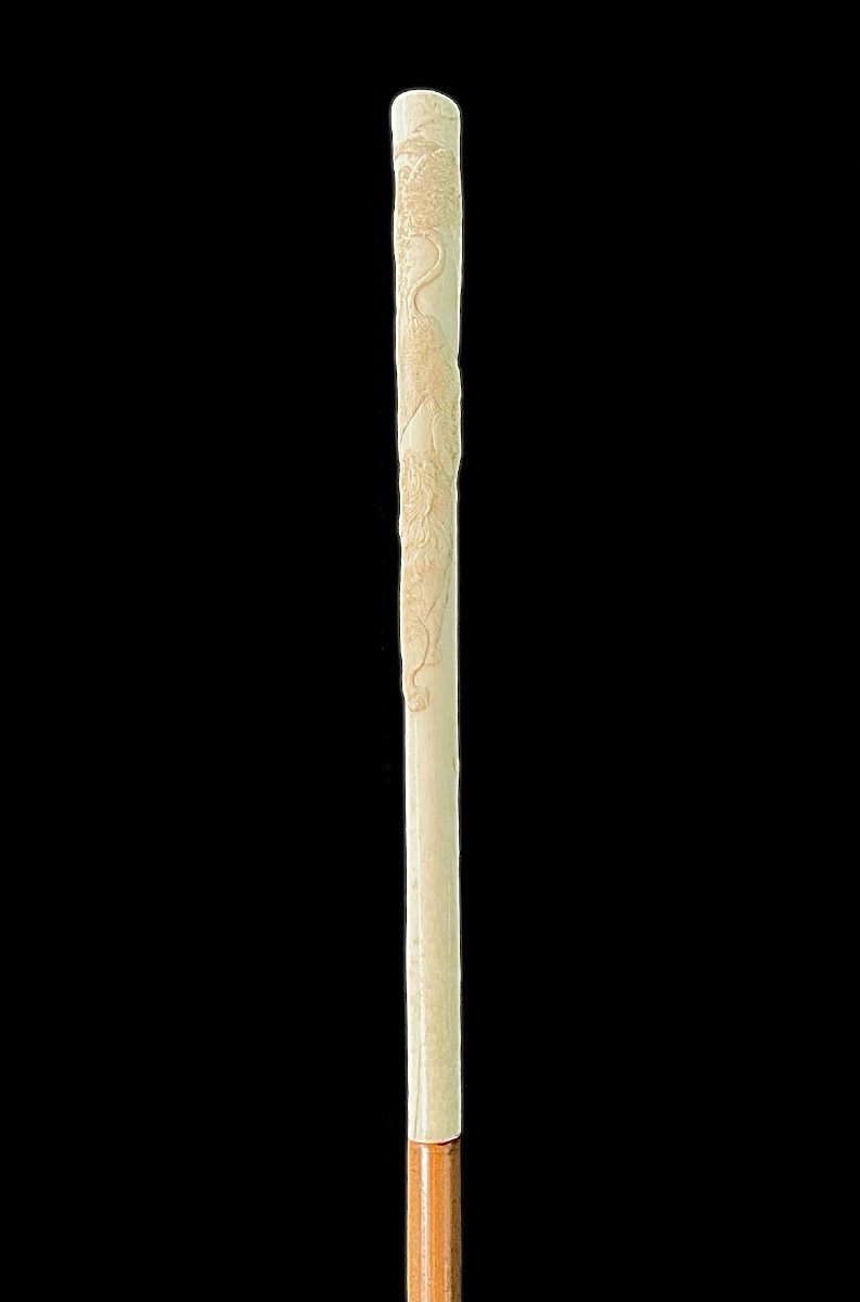 Evening Stick With Ivory Plume Knob Engraved With Lion Figures In Bas-relief. -photo-3