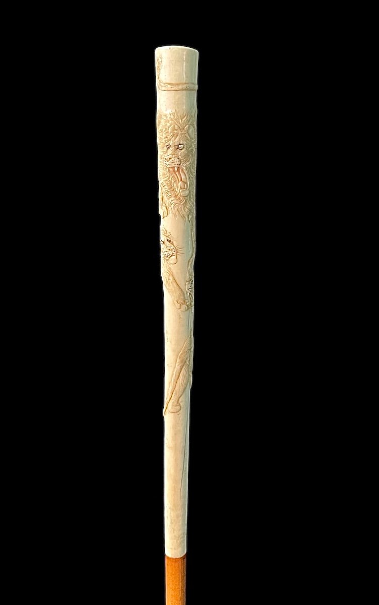 Evening Stick With Ivory Plume Knob Engraved With Lion Figures In Bas-relief. 