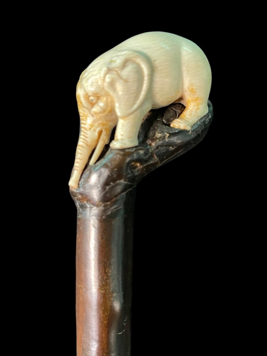 Walking Stick With Partially Ivory Knob With High Relief Elephant Figure. -photo-2