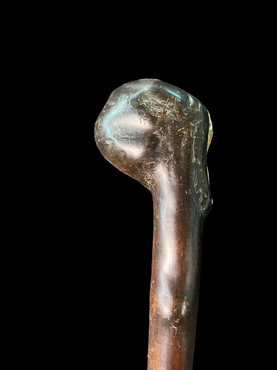 Walking Stick With Partially Ivory Knob With High Relief Elephant Figure. -photo-4