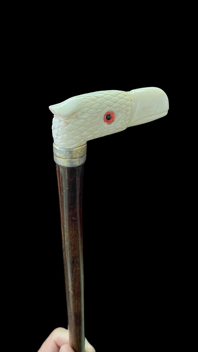 Walking Stick With Ivory Handle Depicting A Condor's Head. -photo-2