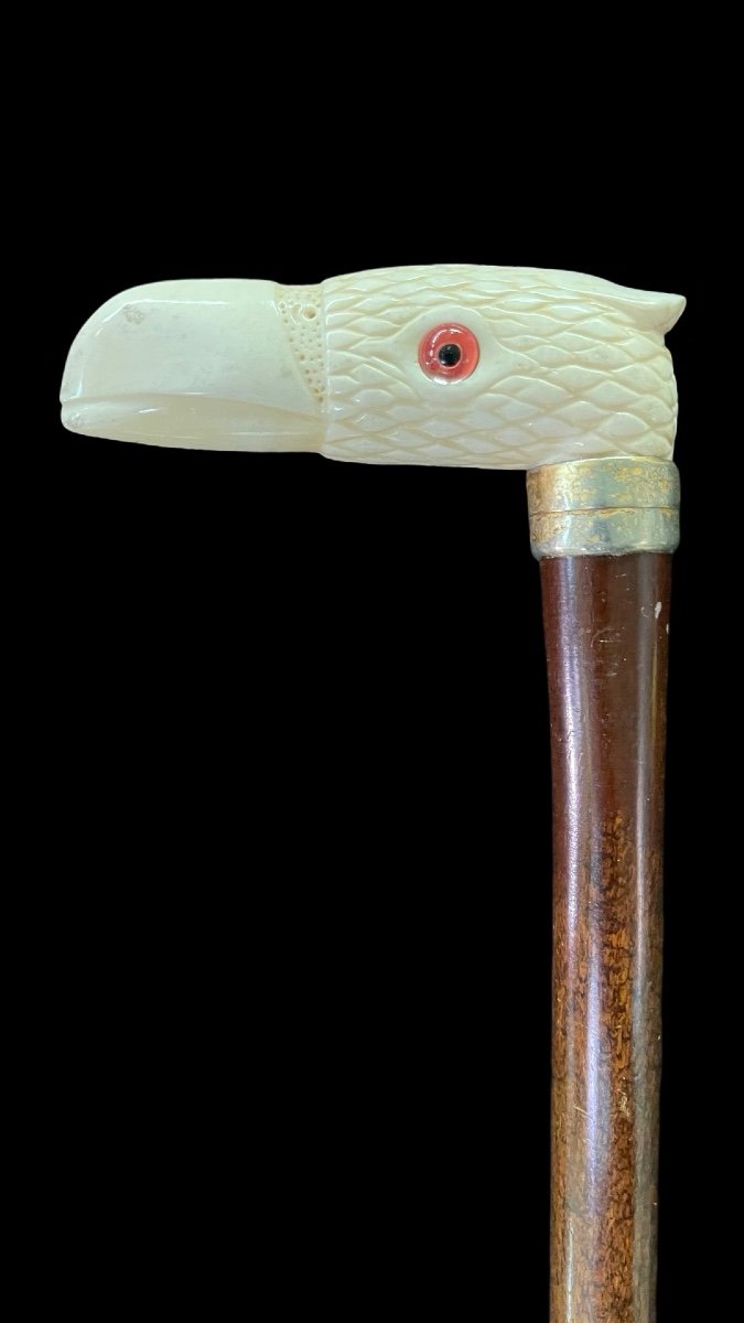 Walking Stick With Ivory Handle Depicting A Condor's Head. -photo-3