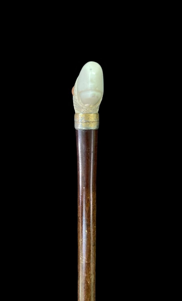 Walking Stick With Ivory Handle Depicting A Condor's Head. -photo-4