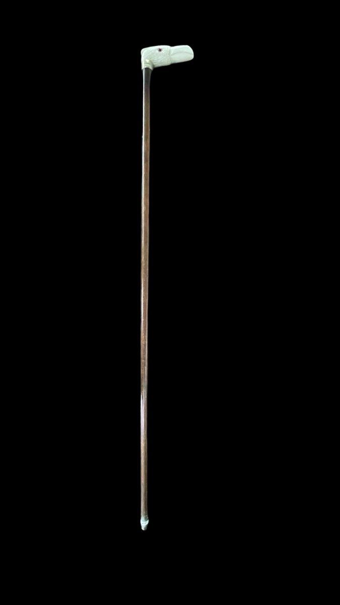 Walking Stick With Ivory Handle Depicting A Condor's Head. -photo-2