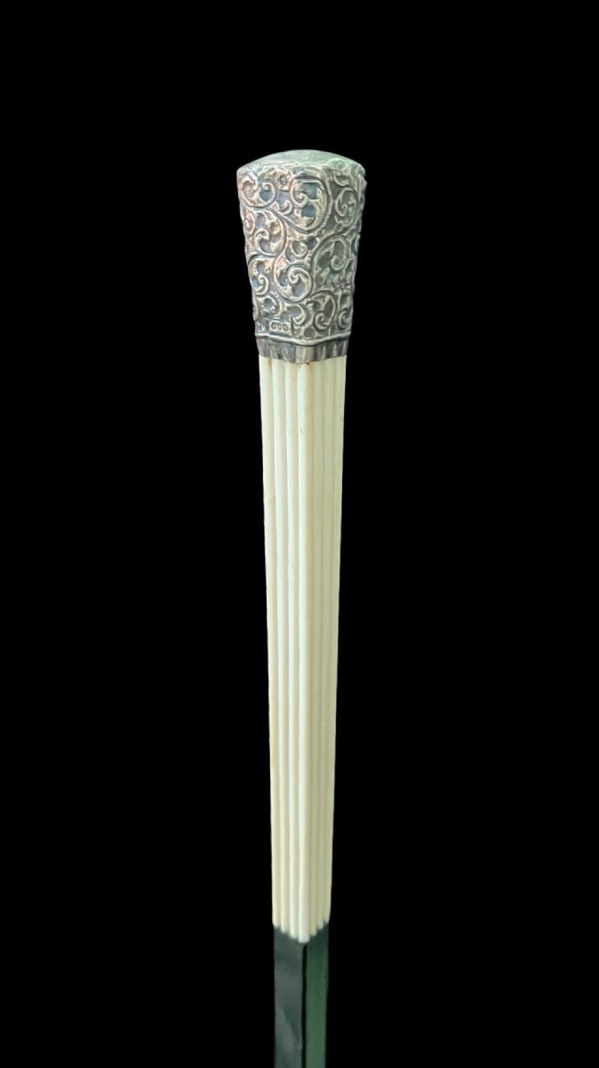 Ivory ‘plume’ Walking Stick With Square Section With Vertical Engravings 