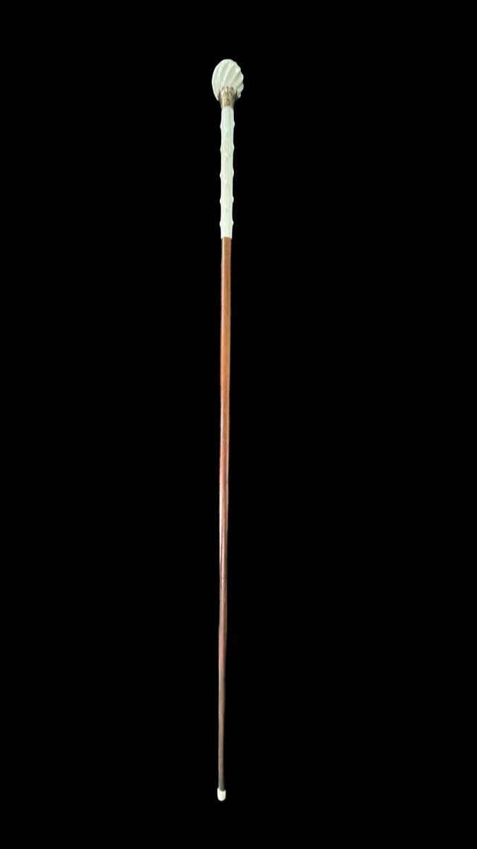 Walking Stick With Ivory Knob With Round Spiral Part And Pointed Shaft. -photo-4