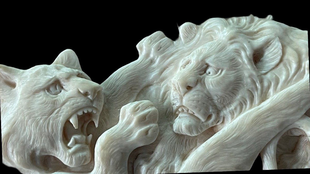 Ivory Bas-relief Plaque Depicting Two Fighting Lions. Japan. -photo-4