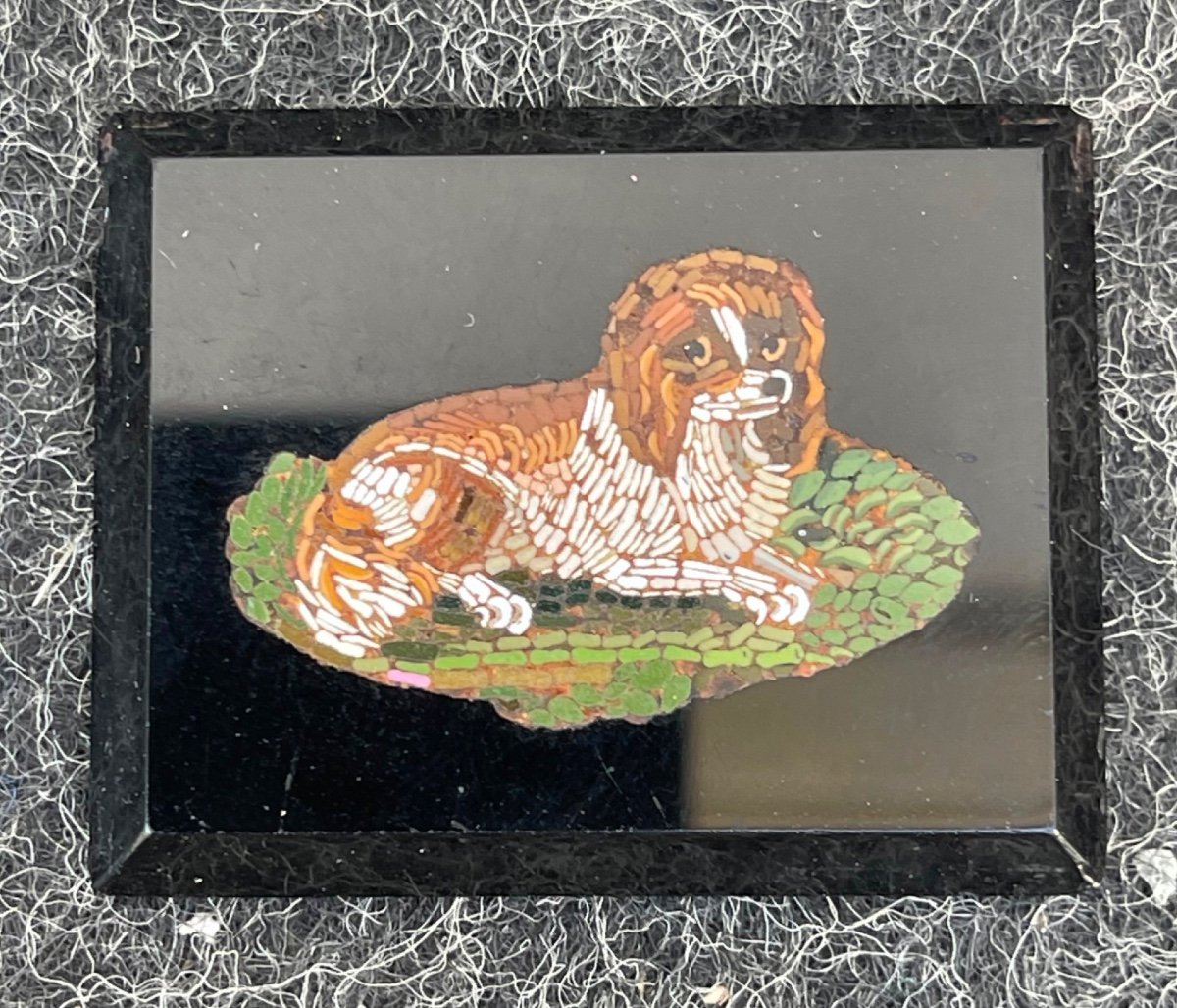 Micromosaïque Rectangulaire Avec Figure De Chien. 