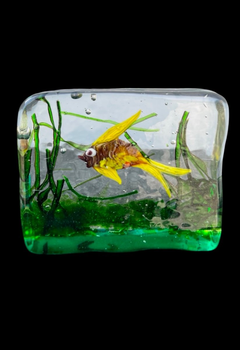 Heavy Submerged Glass Aquarium. -photo-3