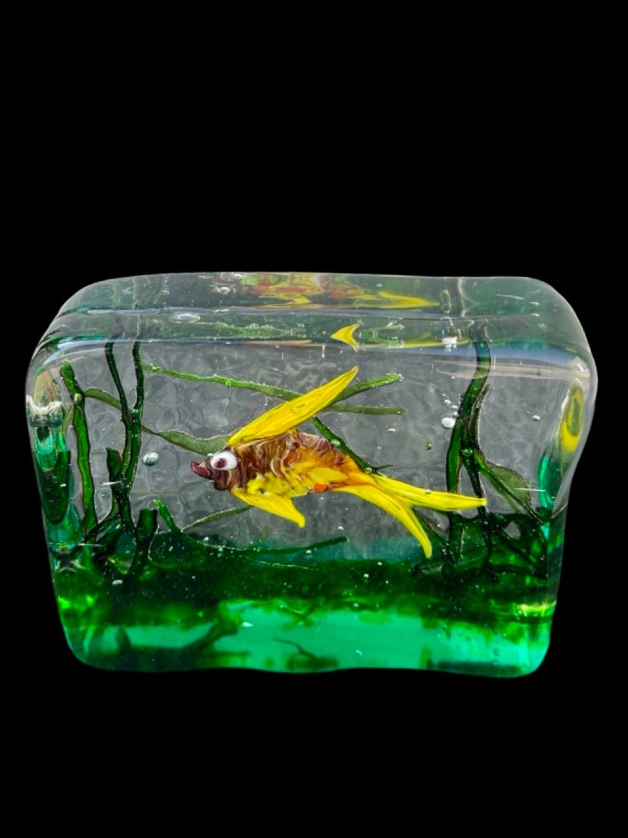 Heavy Submerged Glass Aquarium. 