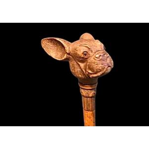 Stick With Wooden Knob Depicting The Head Of A French Bulldog Dog. Engraved Rattan Barrel.