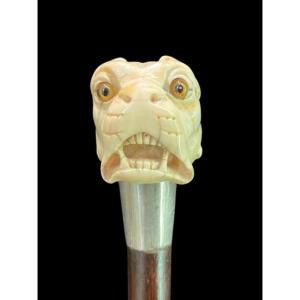 Stick With Ivory Knob Depicting The Head Of A Molossian Dog. 