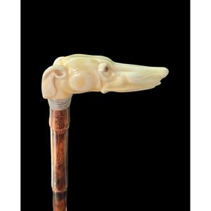 Stick With Ivory Side Handle In The Shape Of A Greyhound Dog's Head. 