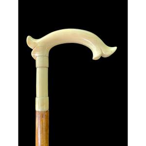 Walking Stick With Ivory Tau Handle With Stylised Rocaille Motif. Cane In Rattan. 