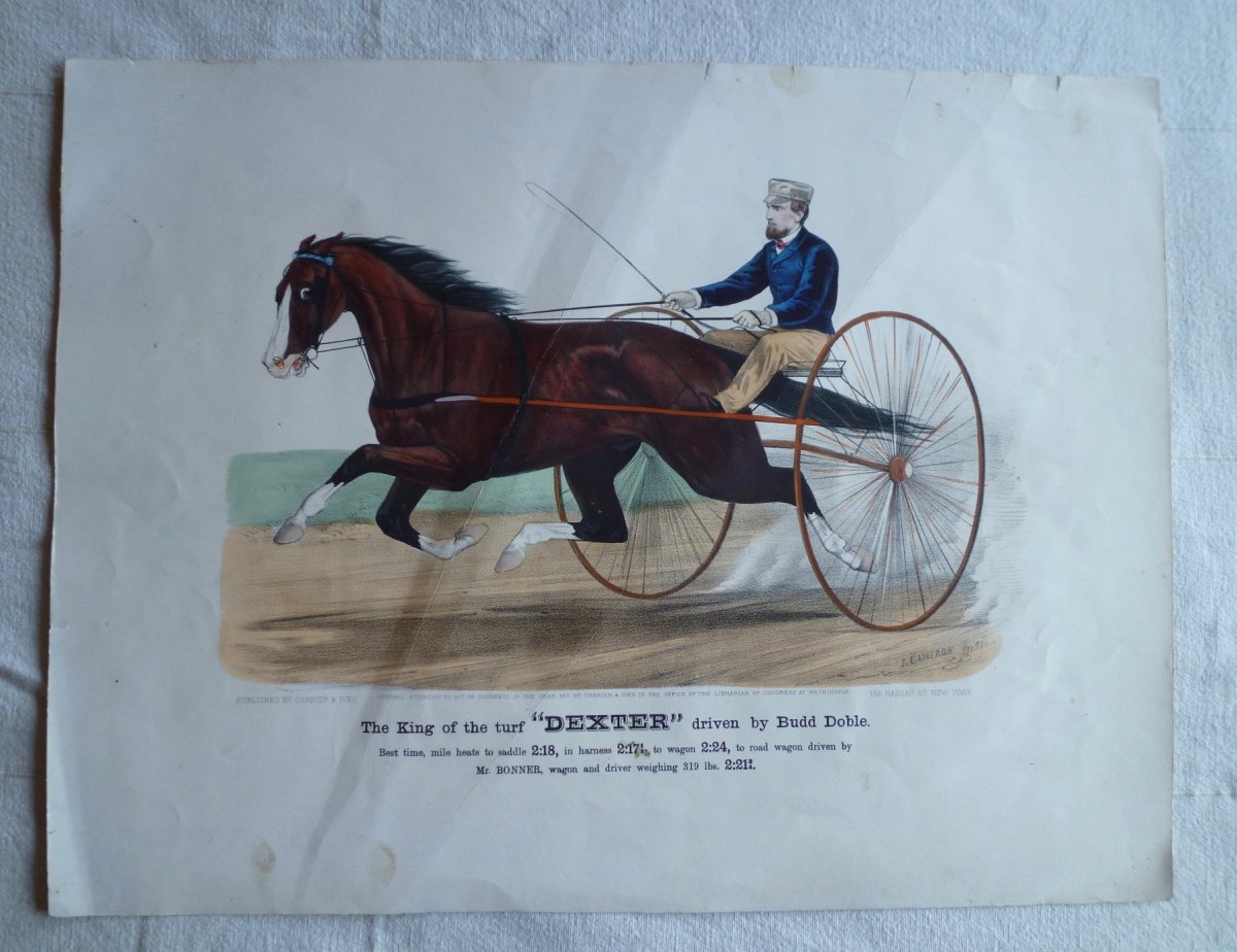 Currier And Ives, Lithographie équestre, Dexter, 19ème.