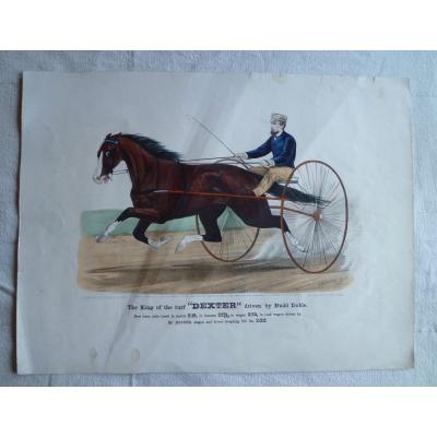 Currier And Ives, Lithographie équestre, Dexter, 19ème.