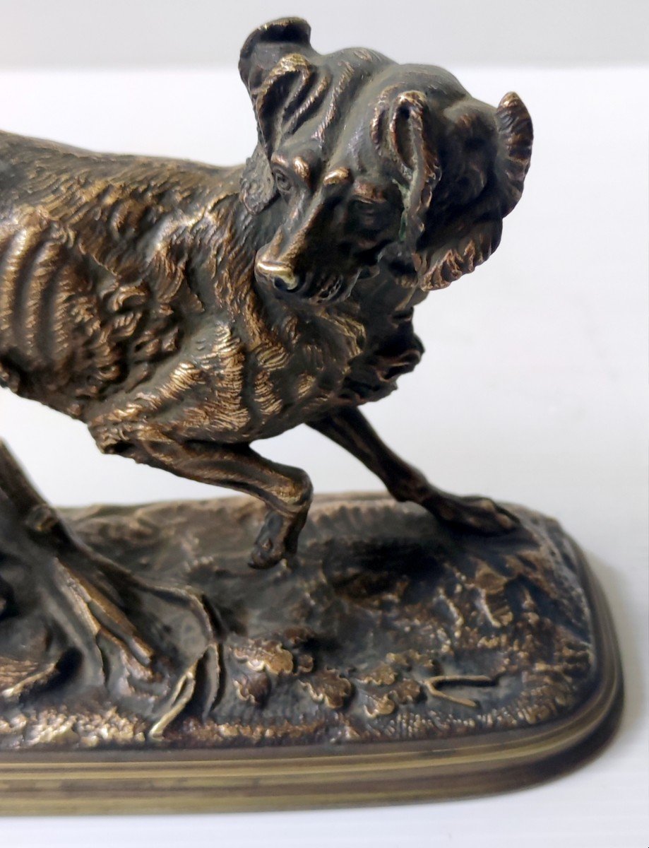 Hunting Dog  Animal Statue In Bronze Signed E. Delabrierre 19th Century-photo-2