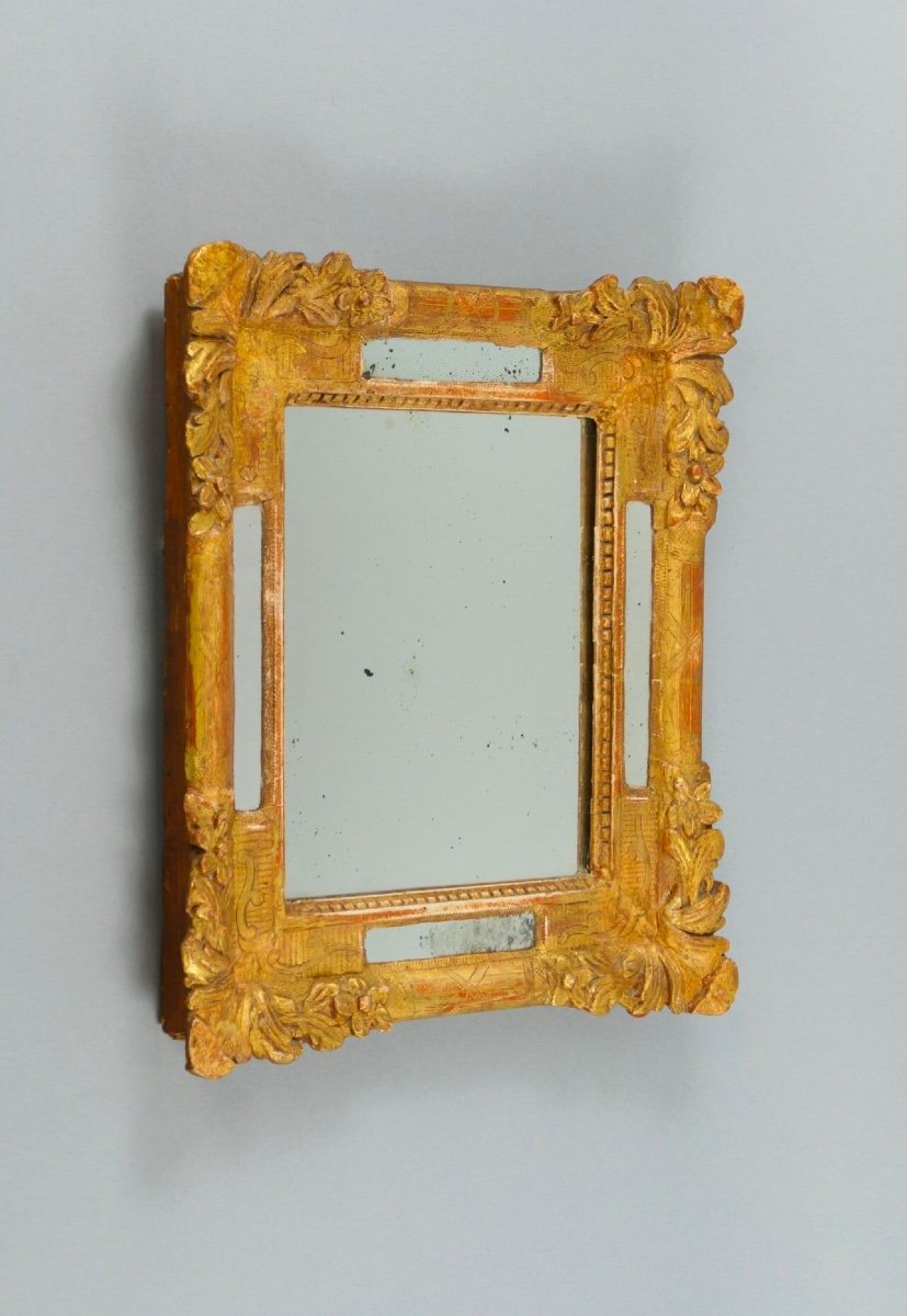 18th Century Style Gilded Wood Pare-close Mirror With Plant Decor-photo-2