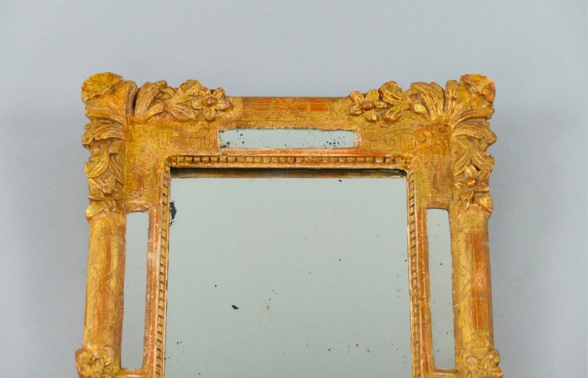 18th Century Style Gilded Wood Pare-close Mirror With Plant Decor-photo-4