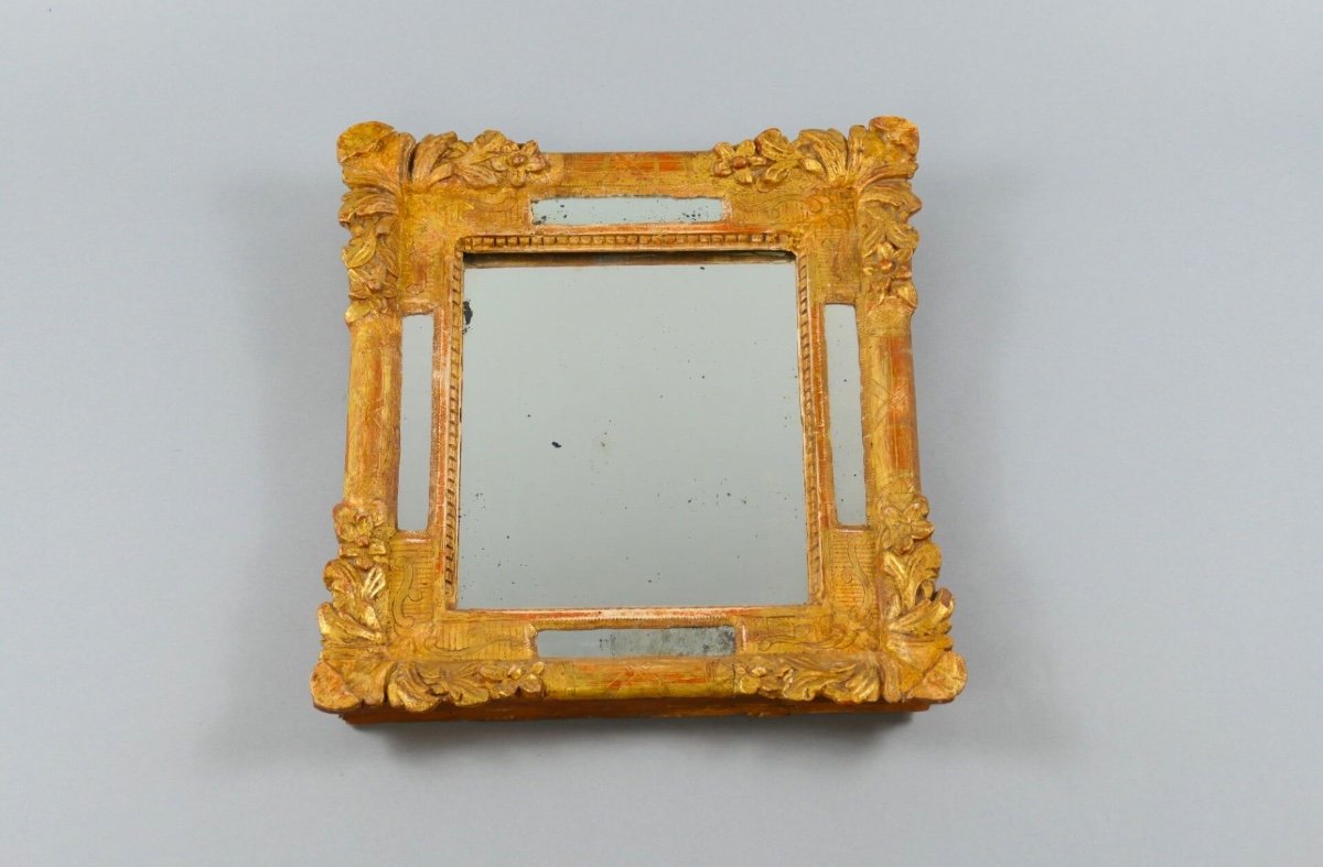 18th Century Style Gilded Wood Pare-close Mirror With Plant Decor