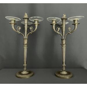 Pair Of Three-branch Patinated Bronze Candelabra