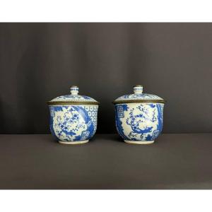 Paire De Pots Couverts En Porcelaine Bleu Blanc. Chine XIX