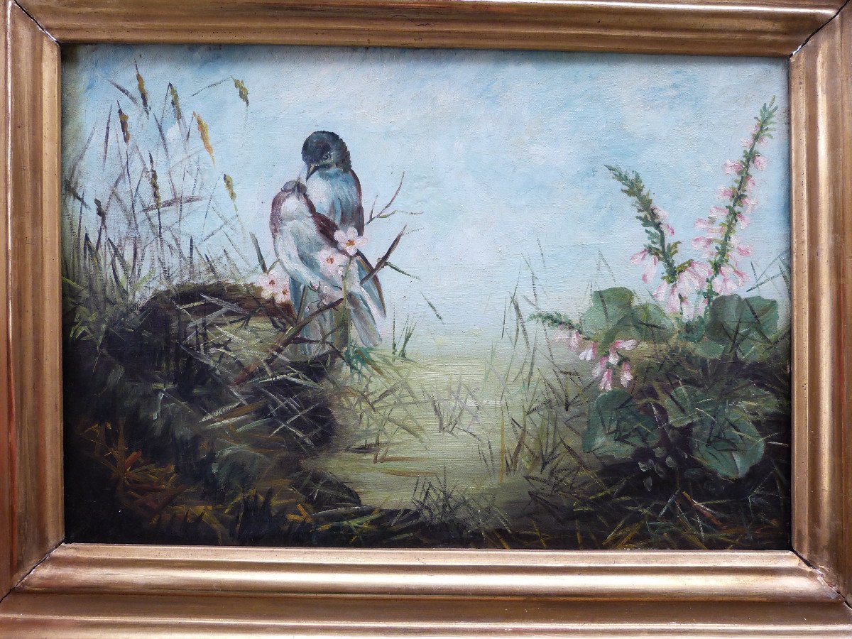 Pair Of Oils On Canvas 19th Century Paintings Spring Couple Of Birds In Nest Golden Frames-photo-2