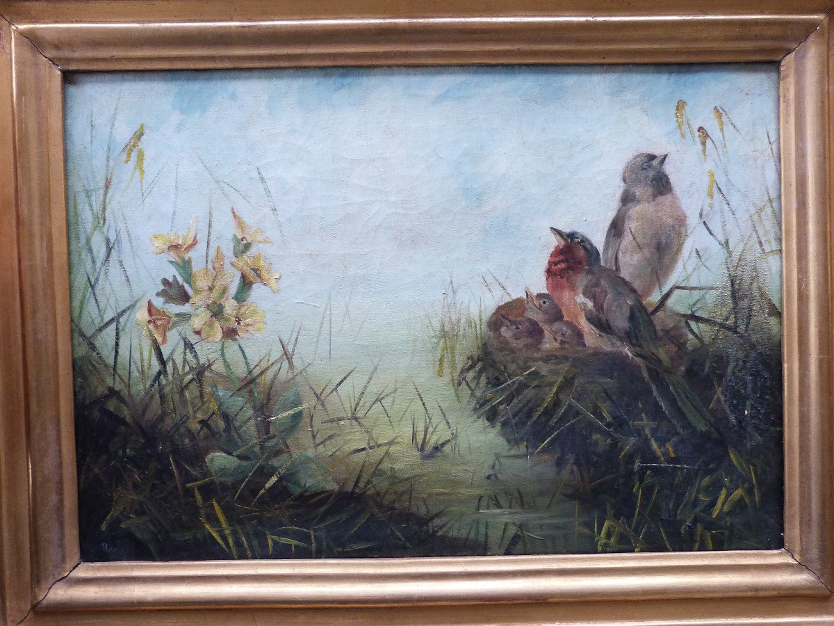 Paire d'Huiles Sur Toile Tableaux XIXeme Printemps Couple d'Oiseaux Au Nid Cadres Dorés-photo-3