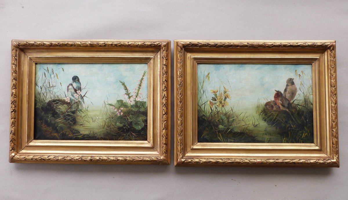 Paire d'Huiles Sur Toile Tableaux XIXeme Printemps Couple d'Oiseaux Au Nid Cadres Dorés