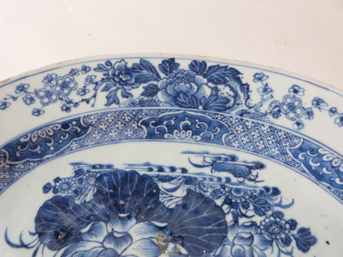 Large 18th Century Chinese Porcelain Dish, East India Company-photo-6