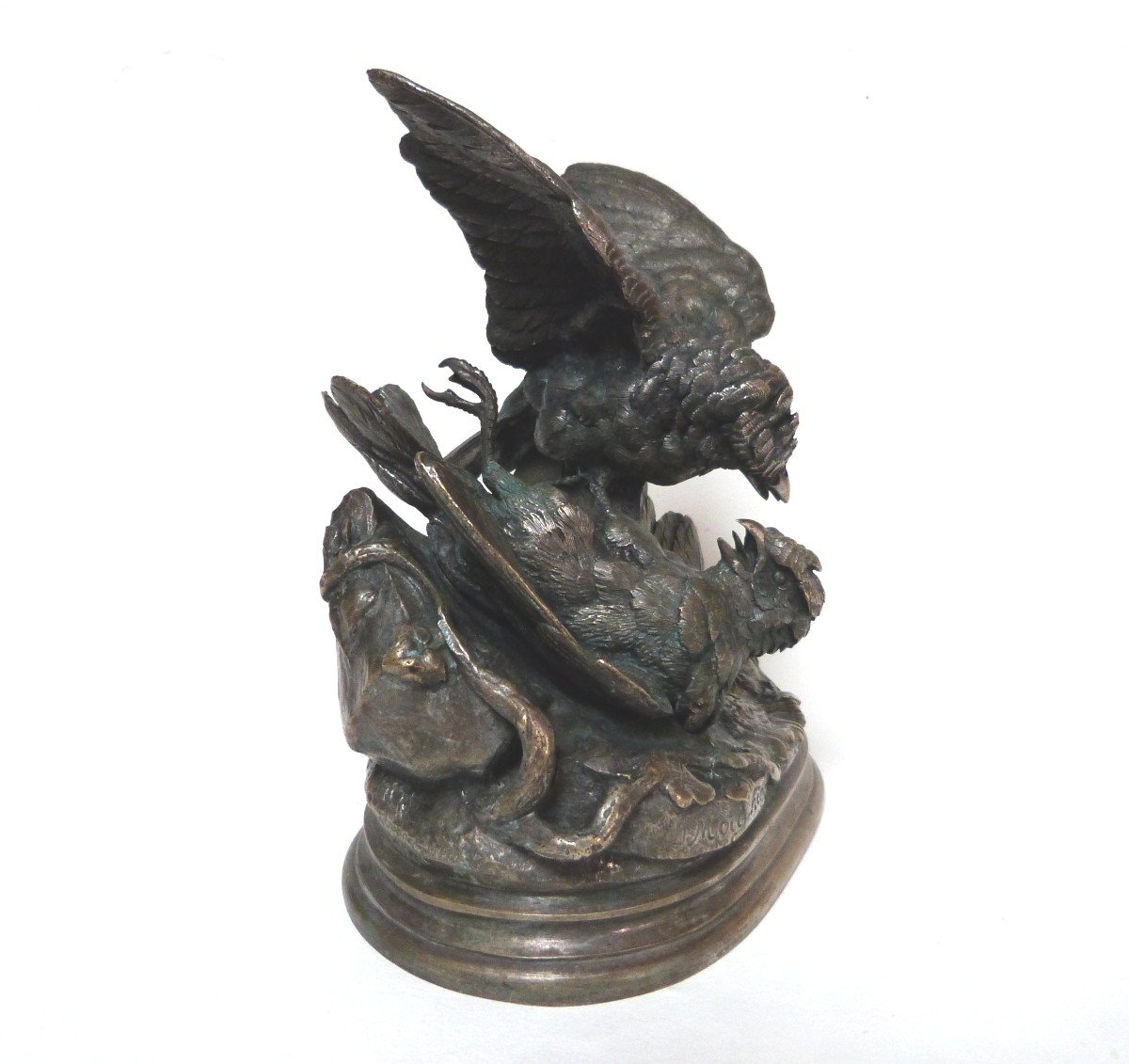 Jules Moignez Animal Bronze Bird Fight 19th Century-photo-4