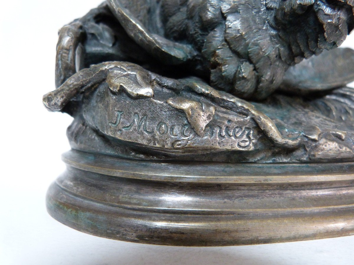 Jules Moignez Animal Bronze Bird Fight 19th Century-photo-6