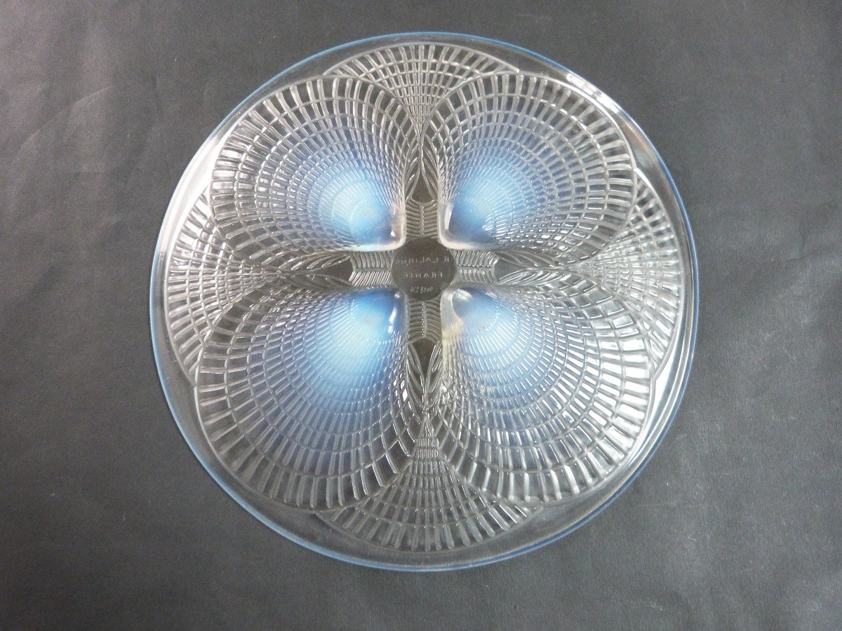 René Lalique Shell Platter 1924 Opalescent Glass Signed Numbered -photo-2