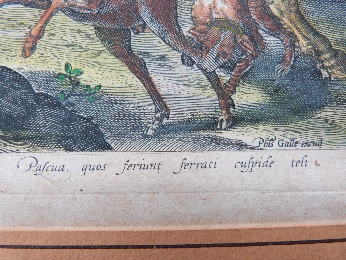 Jan Van Der Straet - Philip Galle  Gravure XVIeme Scène De Chasse rare 1er état -photo-6