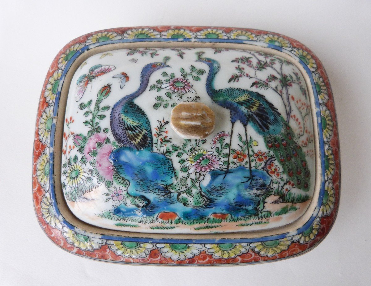 Boite à Savon En Porcelaine De Canton Chine XIXeme Rare Décor Coqs Et Paons -photo-4