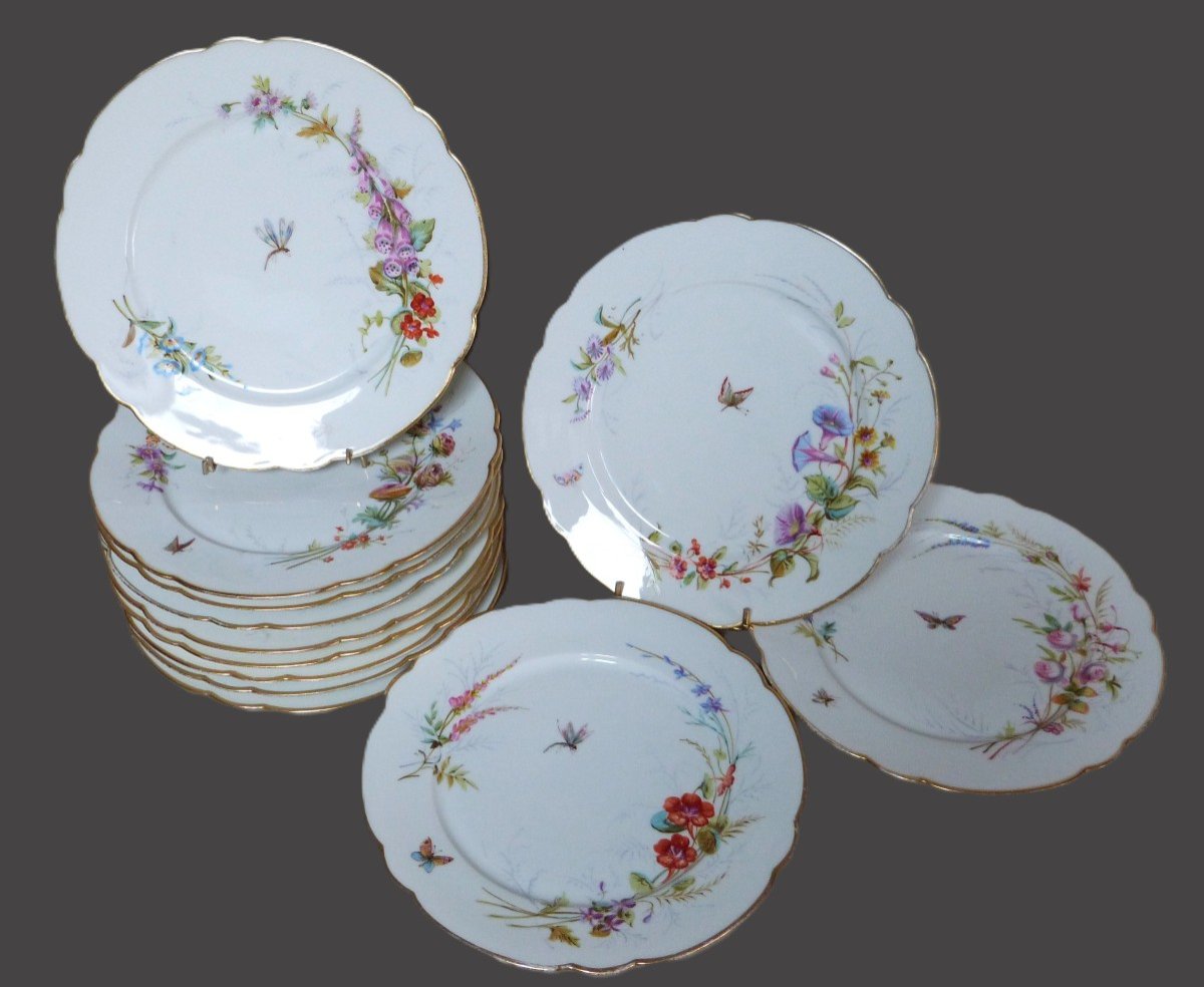 Set Of 12 Chanut Paris Porcelain Plates, 19th Century, Painted Flowers And Insects Decor