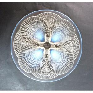 René Lalique Plat Coquille 1924 Verre Opalescent Signée Numérotée 