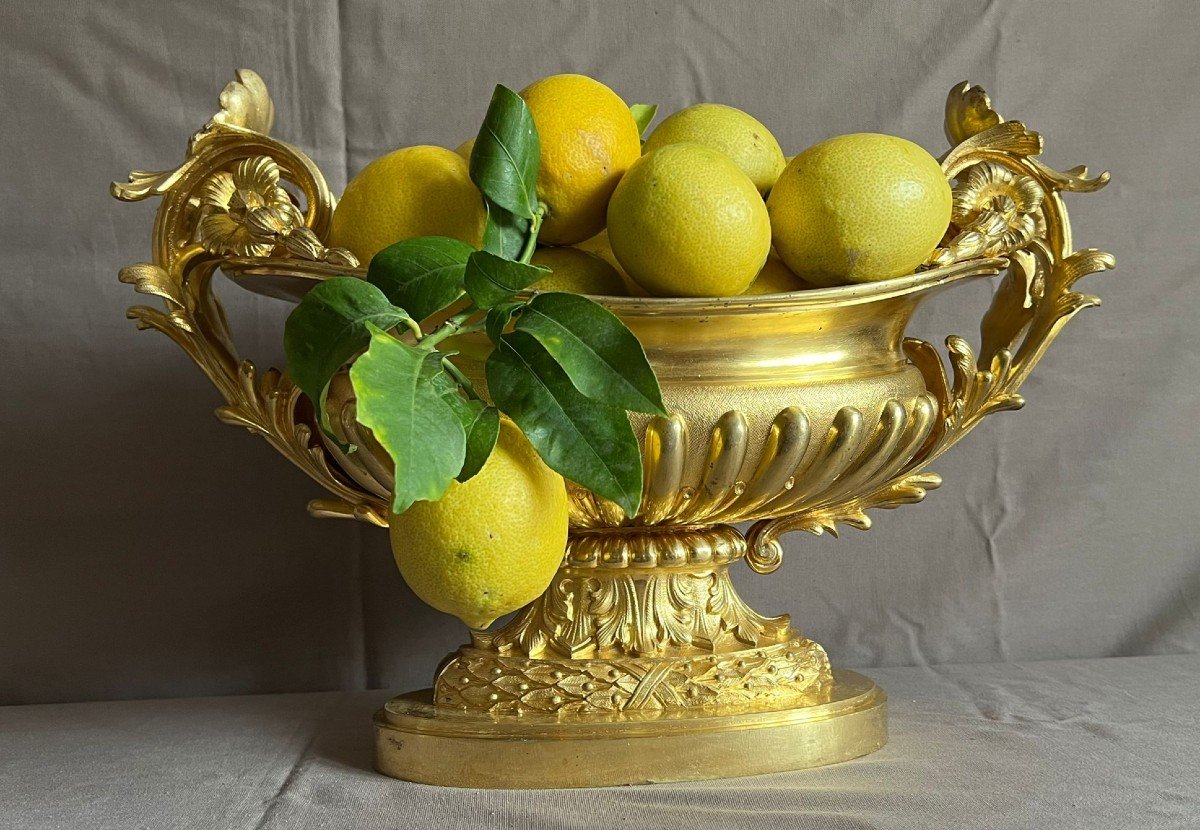 Exceptional Rocaille Style Planter / Bowl, Napoleon III Period, 19th Century.