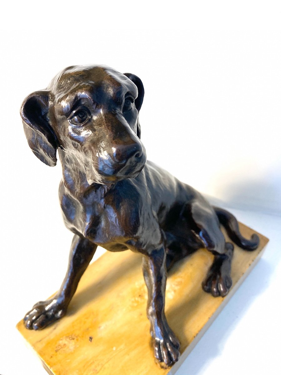 Sculpture en bronze patiné représentant un Chien assis, Ecole Française du 19ème-photo-3