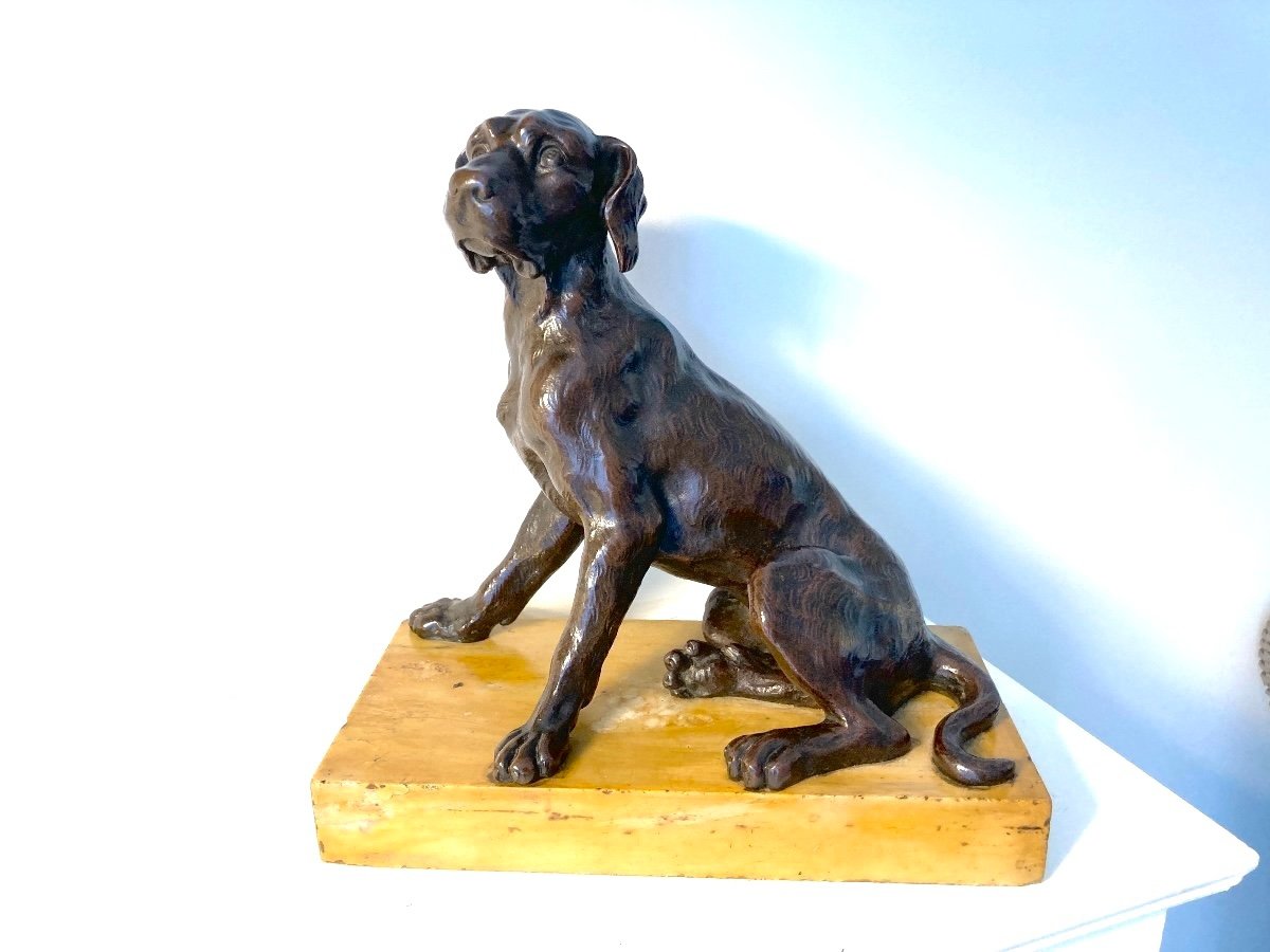 Bronze Animalier représentant un Chien assis, Ecole Française du 19ème-photo-7