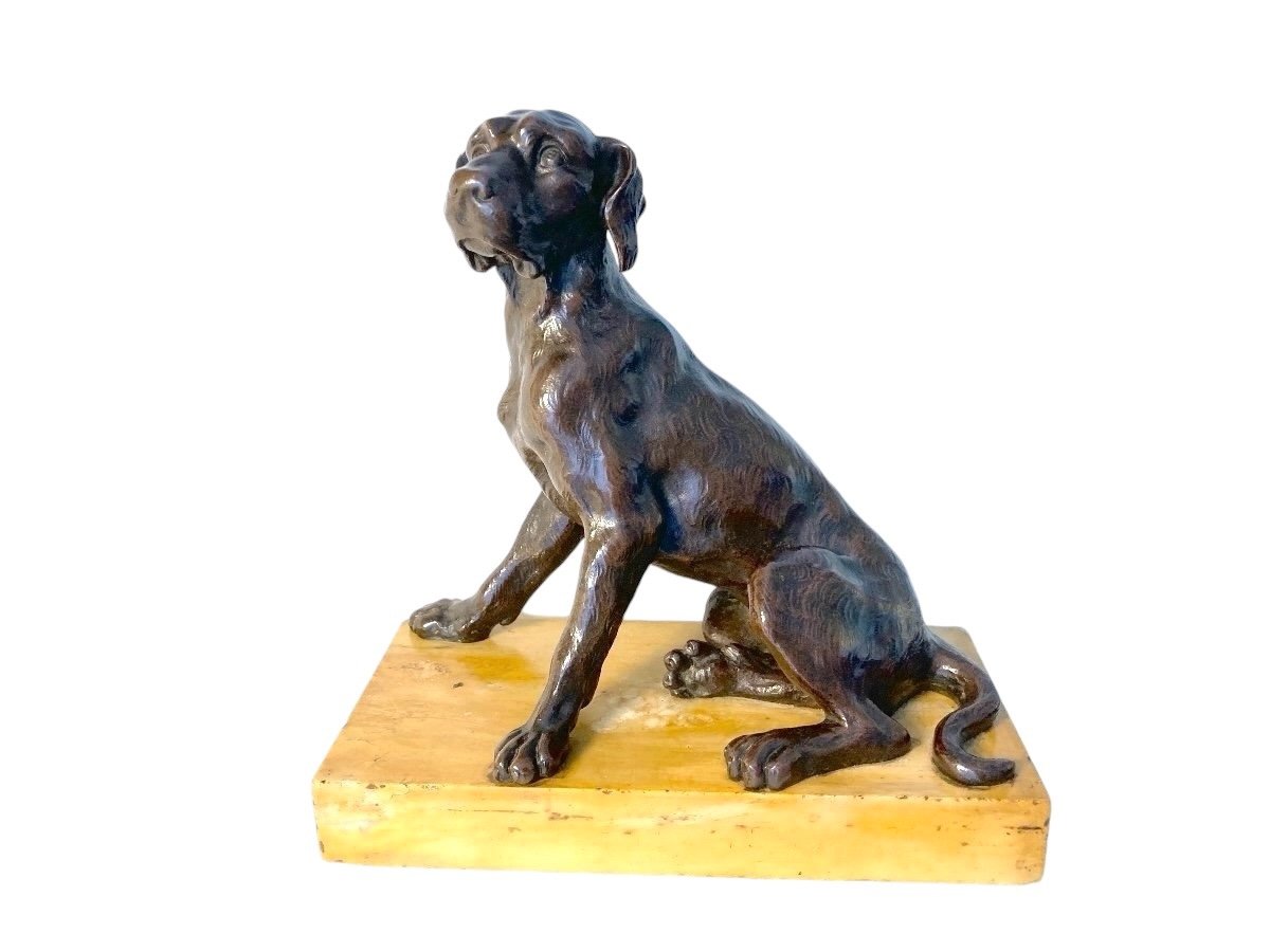 Patinated Bronze Sculpture Representing A Sitting Dog, French School Of The 19th